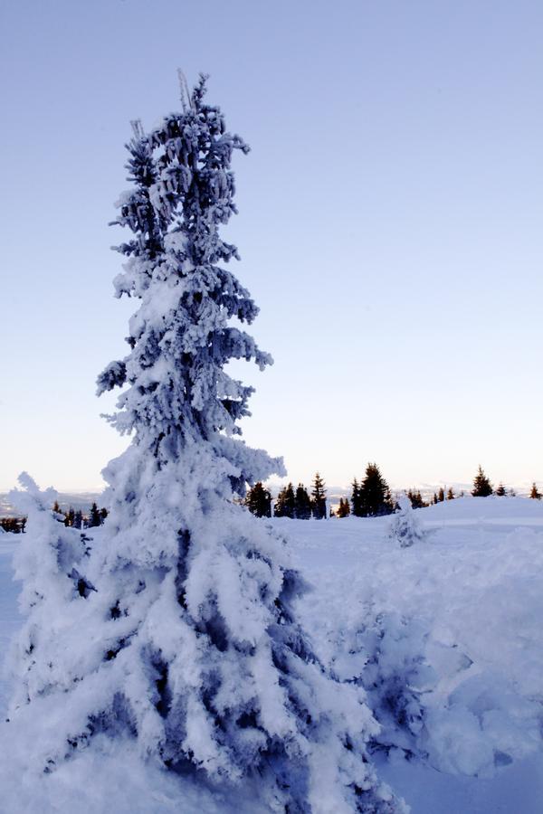 Ilsetra Hotell Hafjell Bagian luar foto